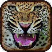 Jungle Cheetah: Real Hunter
