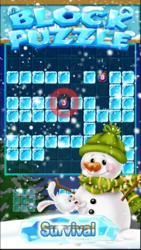 New Ice Block Puzzle Game 2020 Screen Shot 2