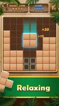 Wood Puzzle Mania - Block Puzzle Game Screen Shot 4