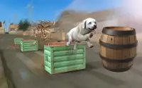 Dog Stunts & Simulator 3D - Juegos de Crazy Dog Screen Shot 7