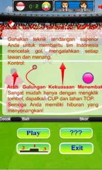 Indonesia soccer team champion - Football FreeKich Screen Shot 1