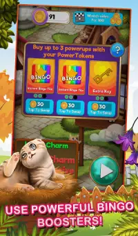 Bingo Pets Mania: Cat Craze Screen Shot 3