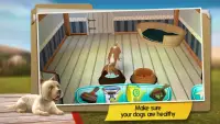 Dog Hotel Premium Screen Shot 6