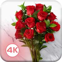 HD Rose Flowers Live Wallpaper