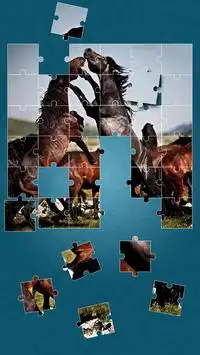 Horses Jigsaw Puzzle Game Screen Shot 8