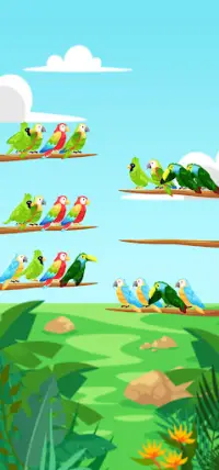 jeu de puzzle de tri d'oiseaux Screen Shot 2