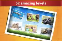 Игра с животными - Педагогическая детская игра Screen Shot 1
