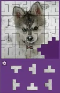 Animaux Puzzle Screen Shot 4