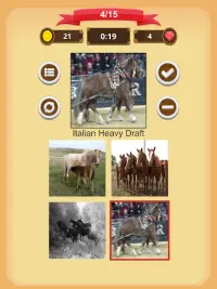 Horse Quiz Screen Shot 15
