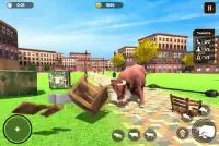 Angry Bull City Rampage: Wild Animal Attack Games Screen Shot 4