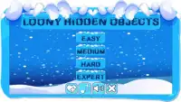 Loony Hidden Objects Screen Shot 0