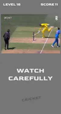 Cricket OUT or NOT Screen Shot 0