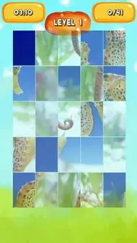 Seahorse Jigsaw Puzzles Screen Shot 4