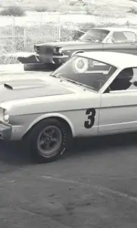 Quebra-cabeças Mustang Shelby GT350 Screen Shot 2