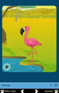 Tropical Animals for Toddlers Screen Shot 6