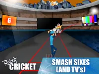 Robot Cricket Screen Shot 9