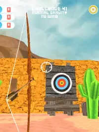 Archery Master Challenges Screen Shot 21