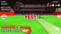 cricket bowling 3d 2017 Screen Shot 1