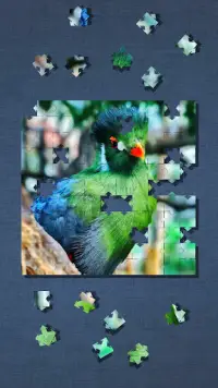 Cute Bird Puzzle - Simple Jigsaw Puzzle Screen Shot 6