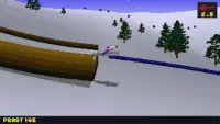 Deluxe Ski Jump 2 Screen Shot 2