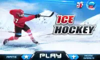 хоккей с шайбой 3D - IceHockey Screen Shot 1