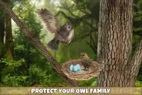 Wild Owl Bird Family Survival Screen Shot 6