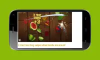 Guide For Fruits Ninja Screen Shot 1