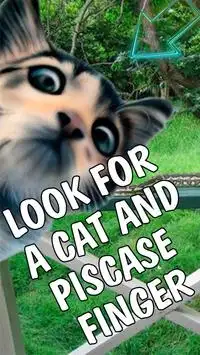 Encuentre un juego de entrenamiento Cat- Attention Screen Shot 0