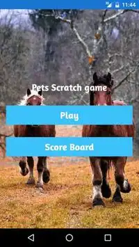 Pets Scratch game Screen Shot 0