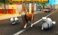 Street Cat Sim 2016 Screen Shot 1