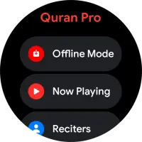 Quran Pro - القرآن الكريم Screen Shot 21
