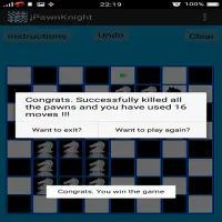 Chess Pawn and Knight Problem Screen Shot 3