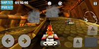 Moorhuhn Kart Multiplayer Raci Screen Shot 1