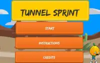 Tunnel Sprint Screen Shot 1