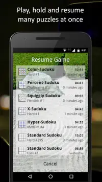 Sudoku Screen Shot 2