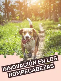 Rompecabezas: puzles innovadores para adultos Screen Shot 8