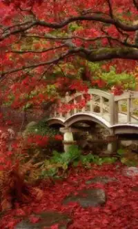 Bridges Jigsaw Puzzles Screen Shot 0