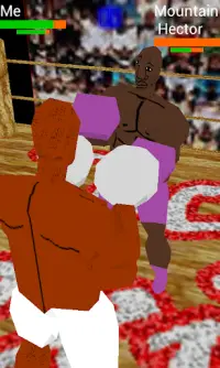 Teck Boxing 3D Screen Shot 5
