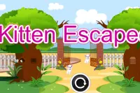 Escape Game-Kitten Escape Screen Shot 8