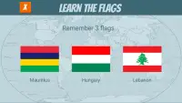 World Flags Quiz Screen Shot 3