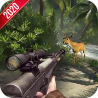 Animal Sniper Hunting Safari Survival 2021