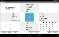 Bridge Solver Screen Shot 2