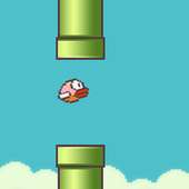 Flappy Advanced: Bird Battle