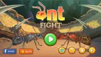 Ant Fight Screen Shot 0