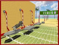 Cat Dog Pets Beach Stunts Sim Screen Shot 12