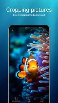 Fish Wallpapers 4K Screen Shot 3