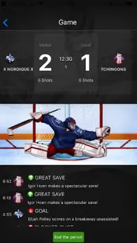 Virtual League of Hockey Screen Shot 2