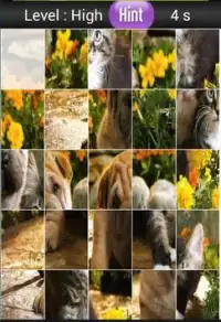 Cat And Dogs Screen Shot 5