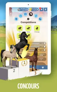Equideow - jeu gratuit d'élevage de chevaux Screen Shot 19