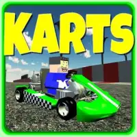 Karts 3D Masters Game Screen Shot 0